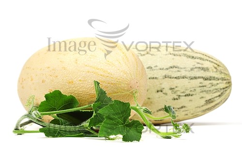 Food / drink royalty free stock image #331784170