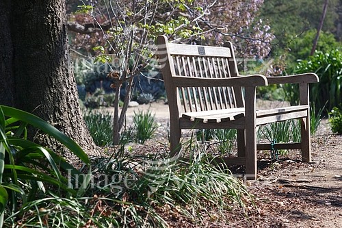 Park / outdoor royalty free stock image #335130369