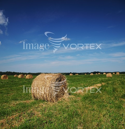 Industry / agriculture royalty free stock image #338263704