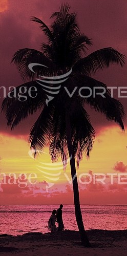 Sunset / sunrise royalty free stock image #338022598