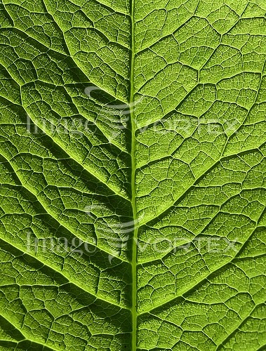 Background / texture royalty free stock image #344858507