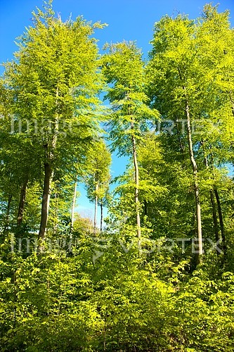Nature / landscape royalty free stock image #346666512