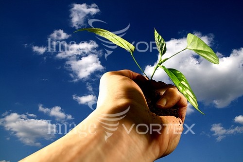 Industry / agriculture royalty free stock image #348036335