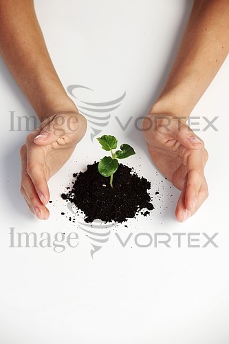 Industry / agriculture royalty free stock image #349121959