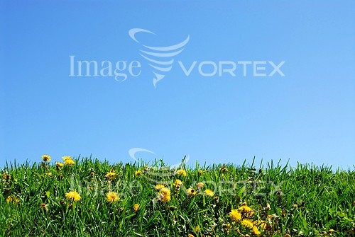 Nature / landscape royalty free stock image #352121182