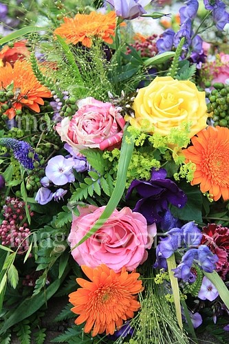 Flower royalty free stock image #352569499