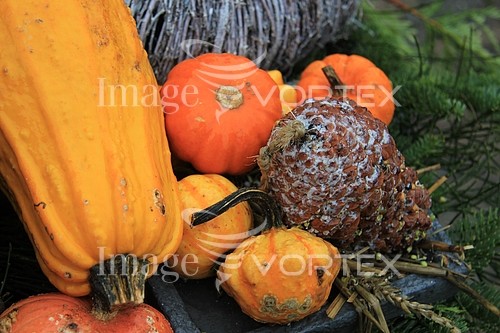 Industry / agriculture royalty free stock image #353288937