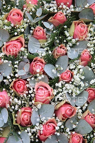 Flower royalty free stock image #353037844