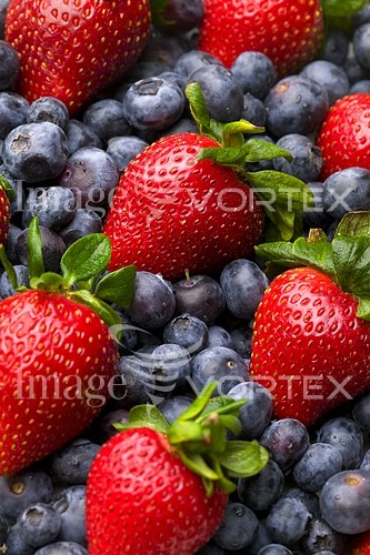 Food / drink royalty free stock image #353945757