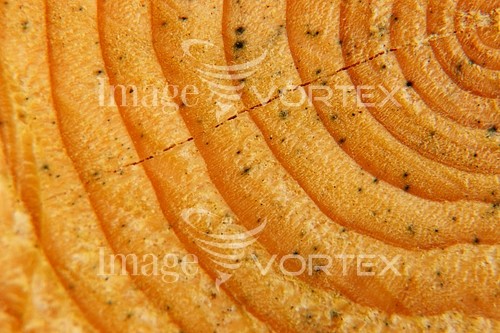 Background / texture royalty free stock image #353034875
