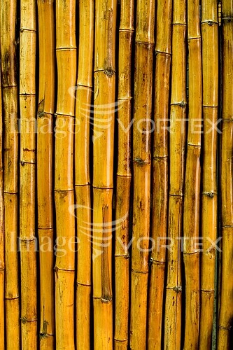 Background / texture royalty free stock image #354741958