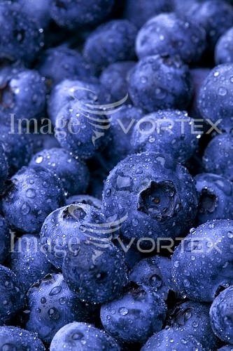 Food / drink royalty free stock image #354927869