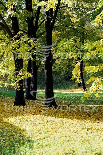 Park / outdoor royalty free stock image #354855050