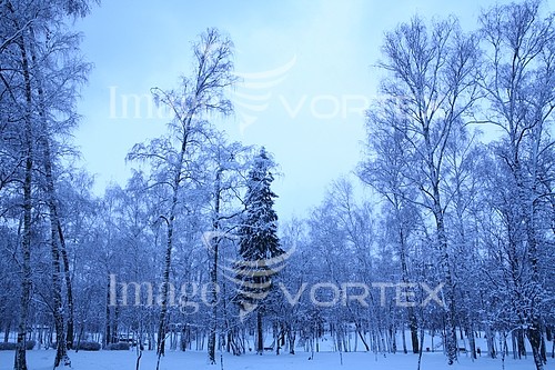 Park / outdoor royalty free stock image #354198515