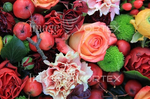 Flower royalty free stock image #354616715