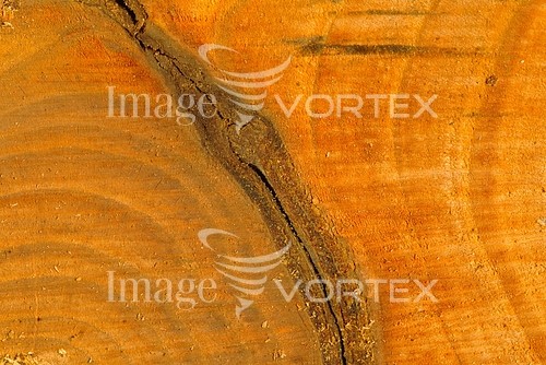 Background / texture royalty free stock image #354686646
