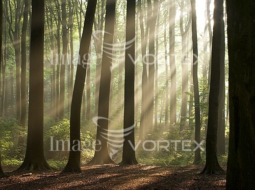 Nature / landscape royalty free stock image #356798482