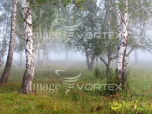 Nature / landscape royalty free stock image #357795559