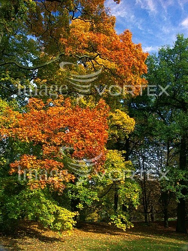 Nature / landscape royalty free stock image #358173428