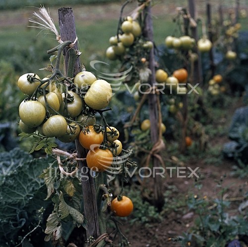 Industry / agriculture royalty free stock image #358562085