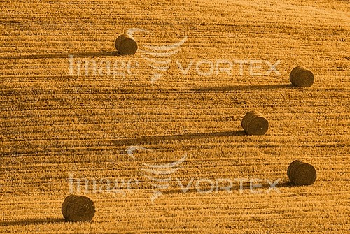 Industry / agriculture royalty free stock image #358117386