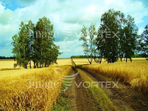 Industry / agriculture royalty free stock image #358383244