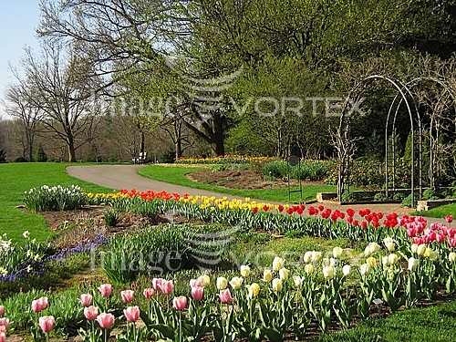 Park / outdoor royalty free stock image #358435006