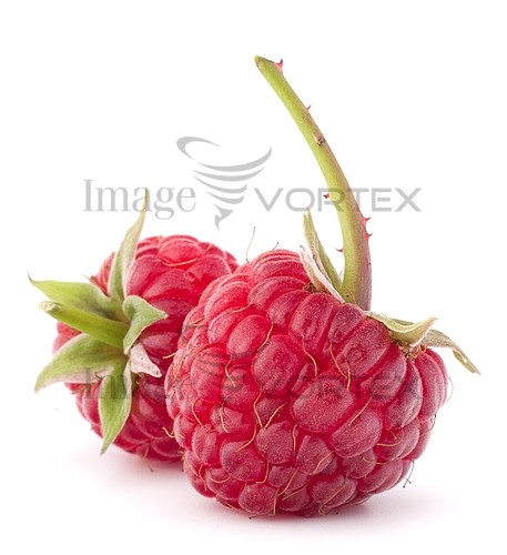 Food / drink royalty free stock image #358725607