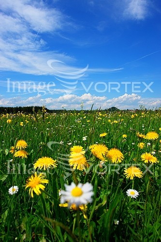 Nature / landscape royalty free stock image #360593635