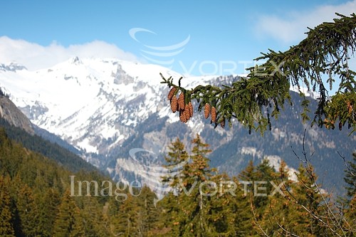 Nature / landscape royalty free stock image #362715767