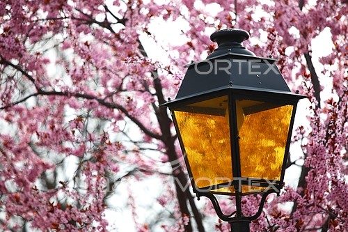 Park / outdoor royalty free stock image #363480810
