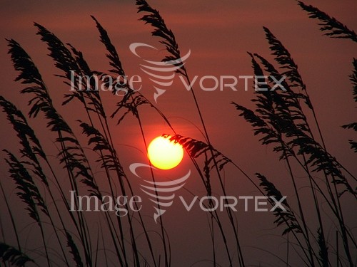 Sunset / sunrise royalty free stock image #363707393