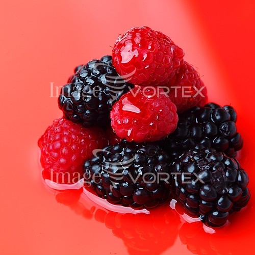 Food / drink royalty free stock image #374304645