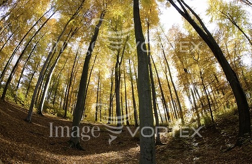 Nature / landscape royalty free stock image #374584048