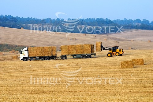Industry / agriculture royalty free stock image #375937704