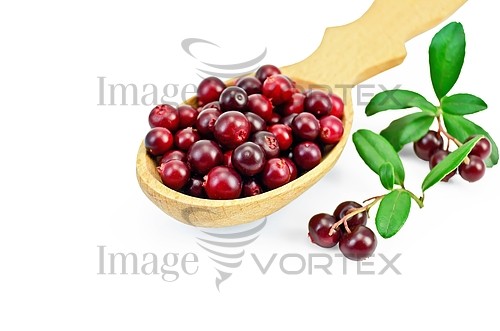 Food / drink royalty free stock image #381164302