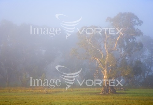 Nature / landscape royalty free stock image #383300399