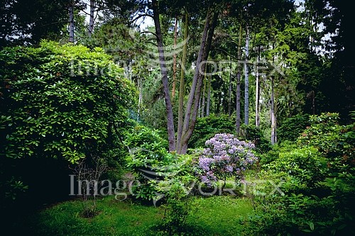 Park / outdoor royalty free stock image #388884816