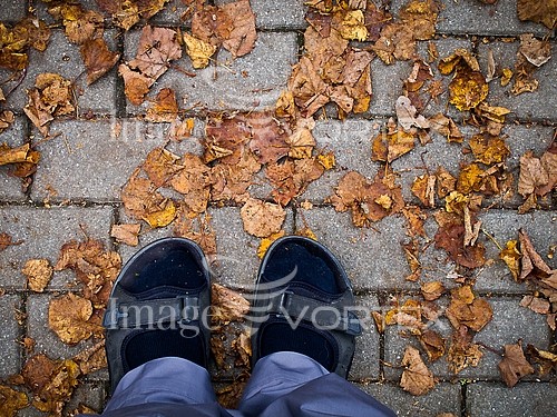 Park / outdoor royalty free stock image #389827755