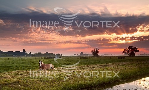 Sunset / sunrise royalty free stock image #394623924