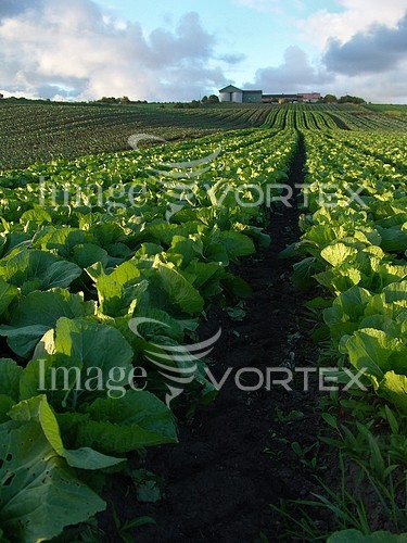 Industry / agriculture royalty free stock image #396629725