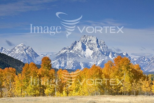 Nature / landscape royalty free stock image #398876425