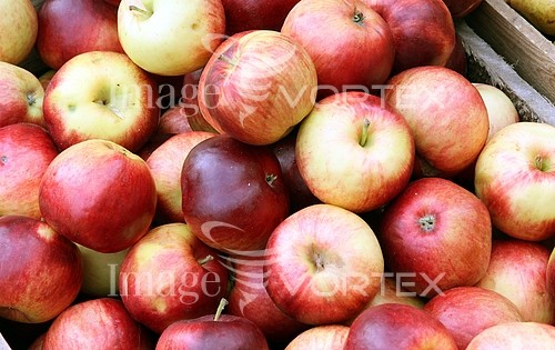Food / drink royalty free stock image #404289250