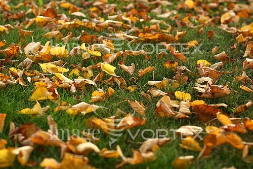 Background / texture royalty free stock image #407344608