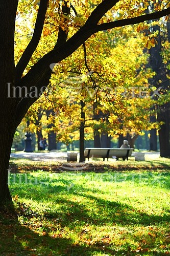 Park / outdoor royalty free stock image #407417282