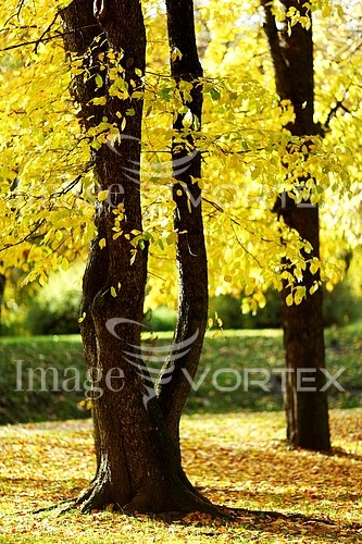 Park / outdoor royalty free stock image #407433136