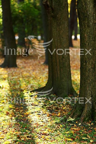 Park / outdoor royalty free stock image #407650522