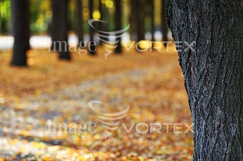 Park / outdoor royalty free stock image #407663215