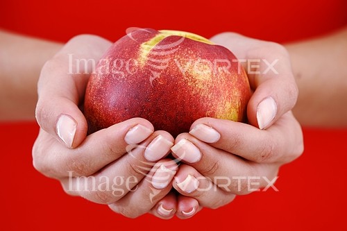 Food / drink royalty free stock image #407690300