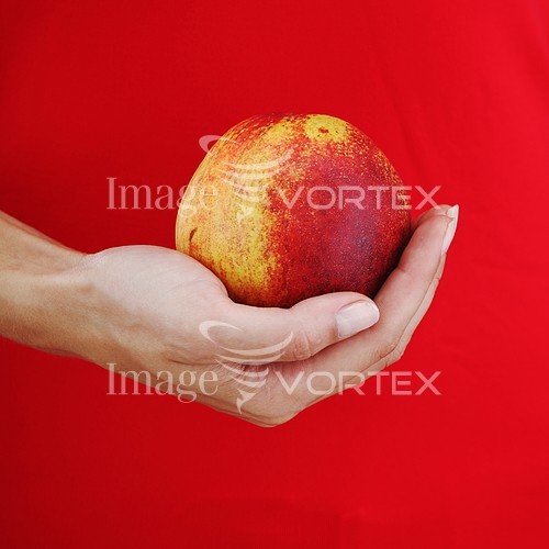 Food / drink royalty free stock image #407708123